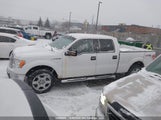 Ford F-150 Xlt 1FTFW1EF3EFB34372 снимка