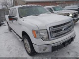 Ford F-150 Xlt 1FTFW1EF3EFB34372 снимка