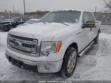 Ford F-150 Xlt 1FTFW1EF3EFB34372 снимка
