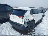 Toyota Rav4 Xle 2T3R1RFV5MC204341 photo
