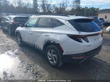 Hyundai Tucson Sel KM8JCCDE8RU322230 снимка