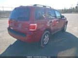 Ford Escape Xlt 1FMCU9DG8AKC02356 снимка