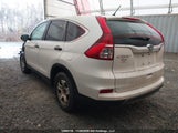 Honda Cr-V Lx 2HKRM3H34FH003605 снимка