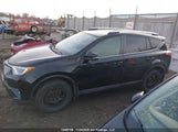 Toyota Rav4 Xle 2T3WFREV7GW283889 снимка