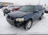 Ford Escape Xls 1FMYU02Z96KA21084 снимка