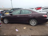 Lexus Es 330 JTHBA30G845031993 fotografie