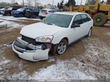 Chevrolet Malibu Maxx Ls 1G1ZT64825F242559 снимка