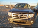 Ford Escape Xlt 1FMCU03G19KA40899 снимка