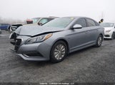 Hyundai Sonata Hybrid Hybrid KMHE24L18GA008424 photo