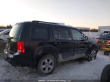 Honda Pilot Exl 5FNYF48579B501698 fotografie