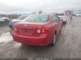 Toyota Corolla Ce 2T1BU40E39C007981 fotografie