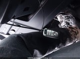 Ford F150 Supercrew 1FTFW1E89PFA37701 снимка