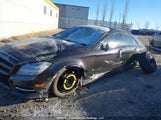 Mercedes-Benz Cls 550 WDDLJ9BB3EA115468 снимка