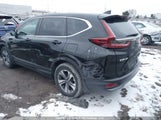 Honda Cr-V Lx 2HKRW1H21MH003077 photo
