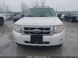 Ford Escape Xlt 1FMCU0D71AKC87441 снимка