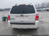 Ford Escape Xlt 1FMCU0D71AKC87441 снимка