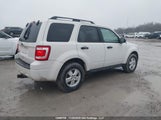 Ford Escape Xlt 1FMCU0D71AKC87441 снимка