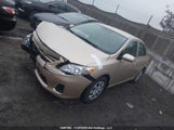 Toyota Corolla S/Le 2T1BU4EE8CC830602 fotografie