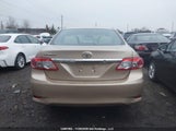 Toyota Corolla S/Le 2T1BU4EE8CC830602 снимка