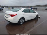 Toyota Corolla Le 2T1BURHE1EC096591 fotografie