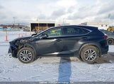 Lexus Nx 300 JTJGARDZ0M2243243 снимка