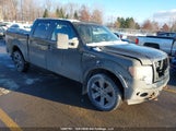 Ford F-150 1FTFW1EFXCFB17534 снимка