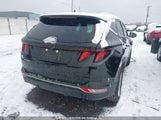Hyundai Tucson KM8JB3AE2PU227280 снимка
