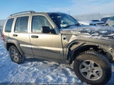 Jeep Liberty Renegade 1J4GL38K95W660839 снимка