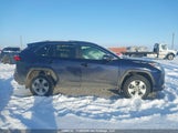 Toyota Rav4 Xle/Xle Premium 2T3R1RFV2MW201640 fotografie