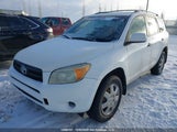 Toyota Rav4 JTMBD33V266005616 снимка