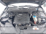 Audi A4 2.0T Premium WAUFFCFL4AN022919 снимка