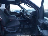 Ford F-150 Xlt 1FTEW1EP8KFD20330 снимка