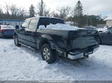 Ford F150 Supercrew 1FTEW1EP2GFC09540 fotografie