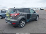Ford Escape 1FMCU0GX8EUD96565 снимка