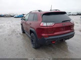 Jeep Cherokee Trailhawk 1C4PJMBNXKD192230 снимка