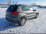 Volkswagen Tiguan Comfortline WVGMV7AX3HK020813 fotografie