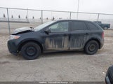 Ford Edge Sport 2FMDK4AKXDBB48160 снимка