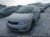 Toyota Corolla Le 2T1BU4EE4AC209032 fotografie