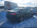 Chevrolet Malibu 1G11B5SL5FF326524 снимка