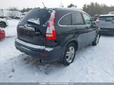 Honda Cr-V Ex 5J6RE4H58AL807098 снимка