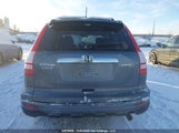 Honda Cr-V Ex-L 5J6RE4H7XAL808593 fotografie