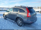 Honda Cr-V Ex-L 5J6RE4H7XAL808593 fotografie