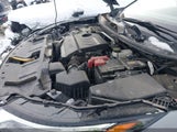 Nissan Rogue Sv JN8BT3BB2PW202981 снимка