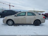 Toyota Corolla S/Le/Xle 2T1BU4EE3AC244578 снимка