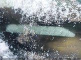 Toyota Corolla S/Le/Xle 2T1BU40E99C089523 снимка