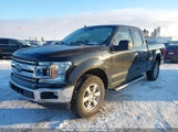 Ford F-150 Xlt 1FTEX1EP2LKD62918 снимка