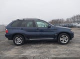 BMW X5 3.0I 5UXFA13526LY47404 снимка