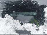 Toyota Corolla Le/Xle 5YFBPMBE0NP281041 снимка