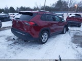 Toyota Rav4 2T3R1RFVXMC145562 fotografie