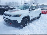 Jeep Compass 3C4NJDDN2PT511853 fotografie